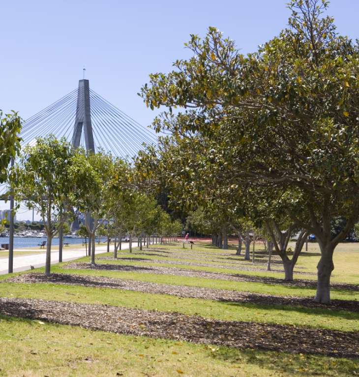 Glebe Foreshore